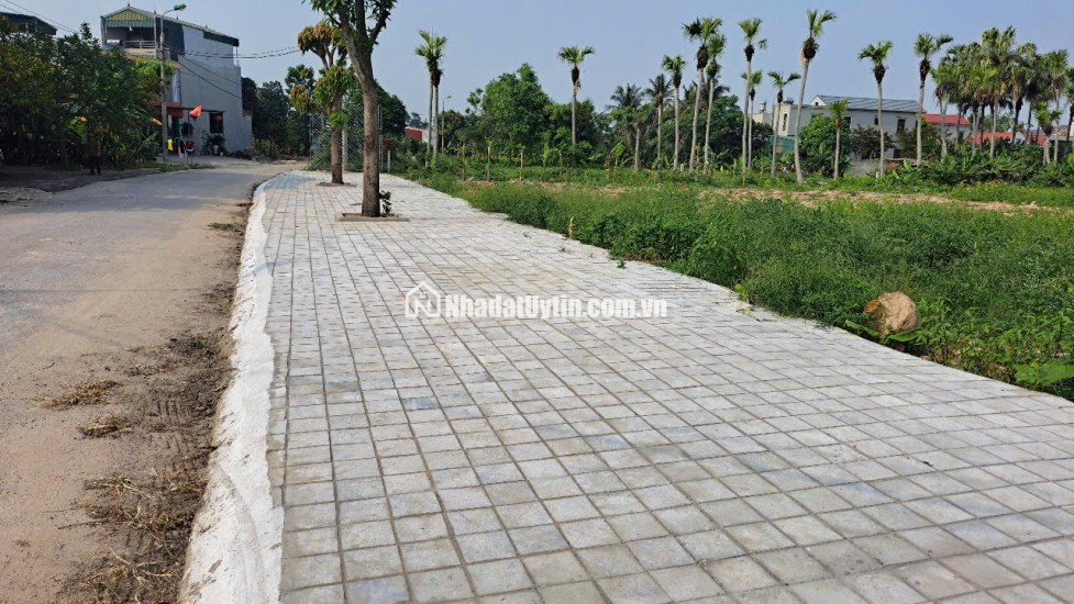 Lô đất biệt thự 1530m2 tại TPTH, xây biệt thự nghỉ dưỡng hoặc tòa nhà văn phòng